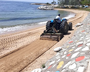 Armutlu sahillerinde bahar temizliği başladı