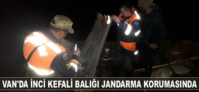 Van Gölü’nde saç tekne ve 500 kilogram inci kefali ele geçirildi