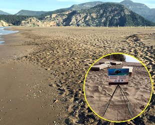 İztuzu'nda carettalar, yumurtalarını bırakmaya başladı