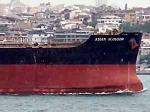M/V ASIAN BLOSSOM'un Boğaz geçişi esnasında gemi trafiği kontrollü gerçekleştirildi