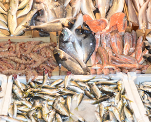 Sinop'ta su ürünleri ihracatından 7,5 milyon dolarlık gelir elde edildi