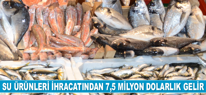 Sinop'ta su ürünleri ihracatından 7,5 milyon dolarlık gelir elde edildi