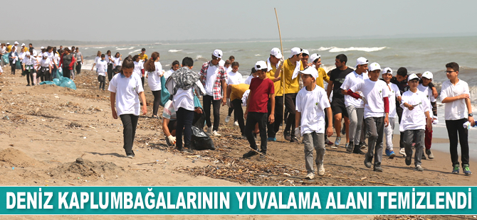 Mersin'de deniz kaplumbağalarının yuvalama alanı temizlendi