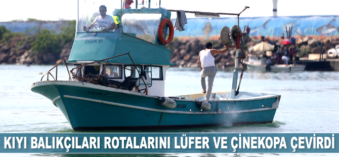 Kıyı balıkçıları rotalarını lüfer ve çinekopa çevirdi