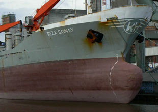 "RIZA SONAY" Fransa'da tutuklandı