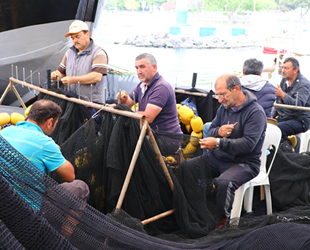 Tekirdağ'da tayfaların ağ mesaisi başladı