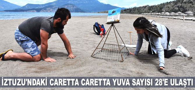 İztuzu Plajı'ndaki caretta caretta yuva sayısı 28'e ulaştı