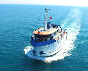 Karadeniz’deki yunus popülasyonu araştırılıyor