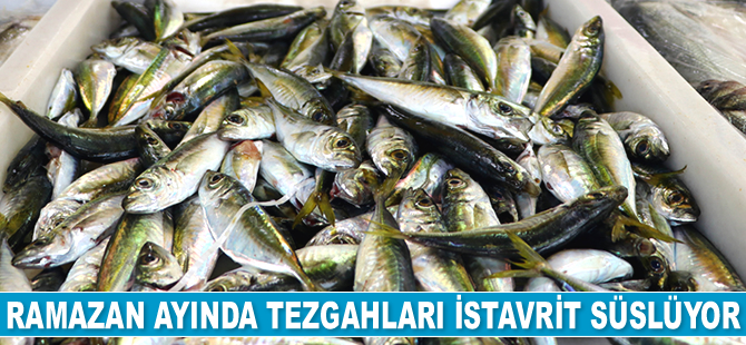 Ramazan ayında balıkçı tezgahlarını istavrit süslüyor