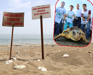 ‘Caretta’ların yuvalama alanında yapılması planlanan festival iptal edildi
