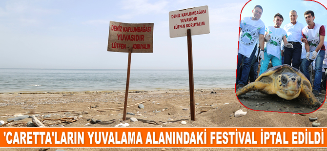 ‘Caretta’ların yuvalama alanında yapılması planlanan festival iptal edildi