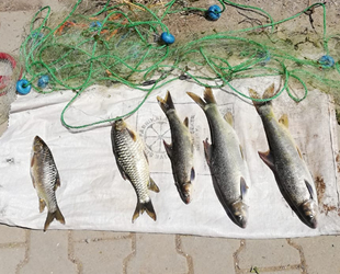 Adıyaman’da av yasağına uymayanlara 9 bin 810 TL para cezası kesildi