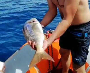 Marmaris’te denizde kaçak av denetimi yapıldı