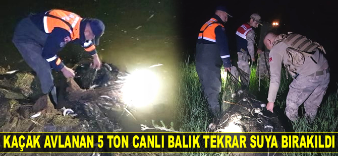 Van Gölü’nde kaçak avlanan 5 ton canlı balık tekrar suya bırakıldı