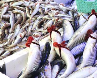 Su ürünleri sektörü 2023 hedefi için Polonya pazarında büyüyecek