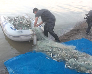 350 metre misina ağı ile 300 kilo balık ele geçirildi