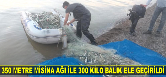 350 metre misina ağı ile 300 kilo balık ele geçirildi