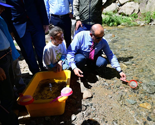 Trabzon’da 14 yılda 16 milyon yavru alabalık orman içi sulara bırakıldı