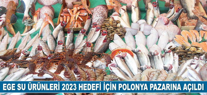 Su ürünleri sektörü 2023 hedefi için Polonya pazarında büyüyecek