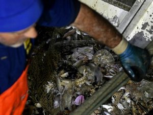 İtalyan balıkçılar geri dönüşüm için Akdeniz'in çöplerini topluyor