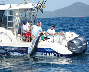 Didim, açık deniz sportif balık avı yarışmasına ev sahipliği yapacak