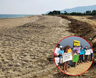 Anamur Belediyesi, caretta caretta yuvalarına piknik alanı yapıyor