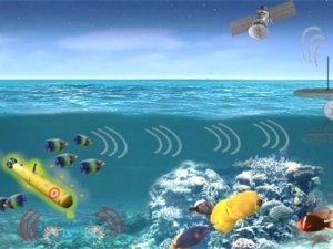 Deniz canlıları, su altından gelecek tehditlere karşı 'ajan' olarak kullanılabilecek