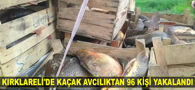 Kırklareli'de kaçak avcılıktan 96 kişi yakalandı