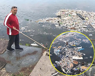 Küçükçekmece Gölü’ndeki balık ölümleri korkurttu