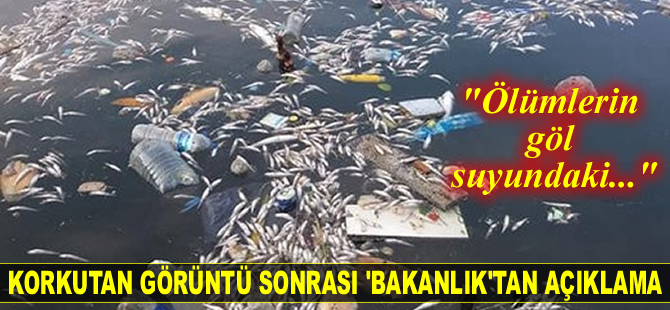 Tarım ve Orman Bakanlığı’ndan balık ölümleriyle ilgili açıklama geldi