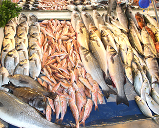 Türkiye'nin su ürünleri üretimi 2018 yılında azaldı