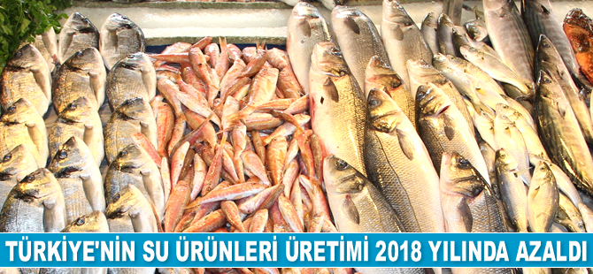 Türkiye'nin su ürünleri üretimi 2018 yılında azaldı