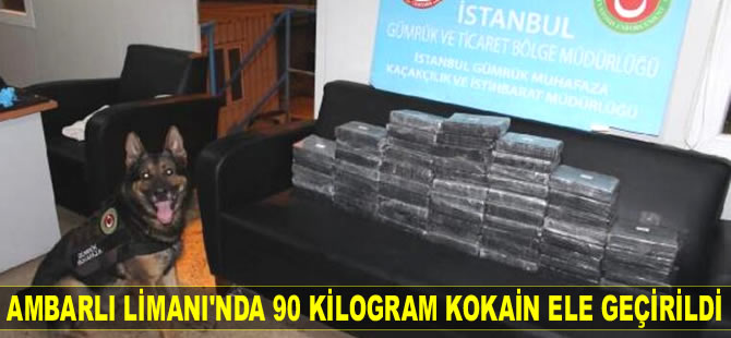 Ambarlı Limanı'nda 90 kilogram kokain ele geçirildi