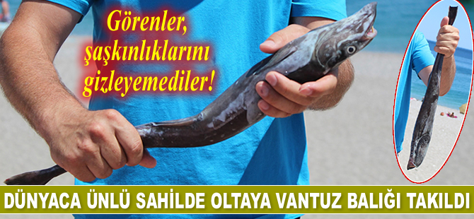 Konyaaltı Sahili’nde oltaya vantuz balığı takıldı