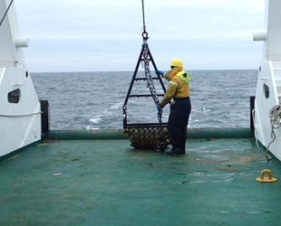 Kuzey Denizi’nde Mezolitik Çağ’a ait yerleşim yeri bulundu