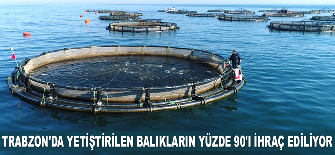 Trabzon’da yetiştirilen balıkların yüzde 90’ı ihraç ediliyor