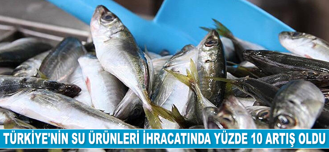 Su ürünleri ihracatında yüzde 10 artış oldu