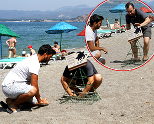 Carettalar kıyılara yumurta bırakmaya başladı