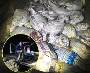 Van’da 10,5 ton kaçak avlanmış balık ele geçirildi