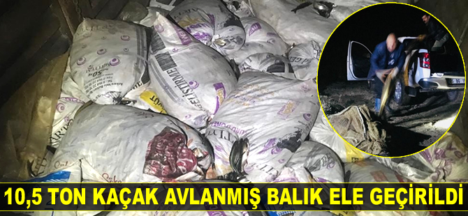 Van’da 10,5 ton kaçak avlanmış balık ele geçirildi