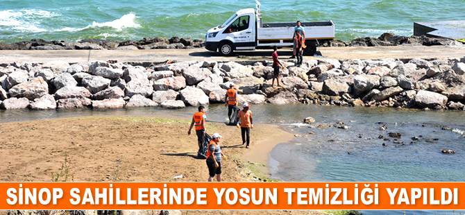 Sinop sahillerinde yosun temizliği yapıldı