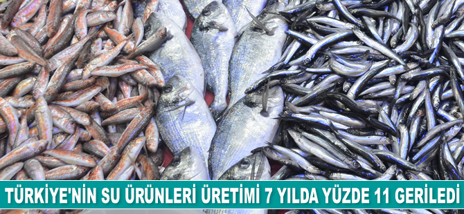 Su ürünleri üretimi 7 yılda yüzde 11 geriledi