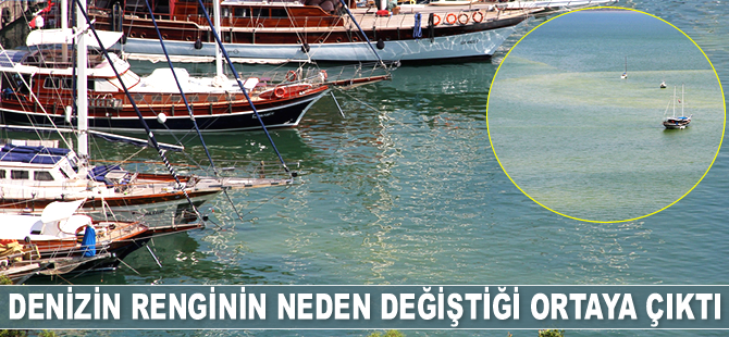Fethiye’de denizin renginin neden değiştiği ortaya çıktı
