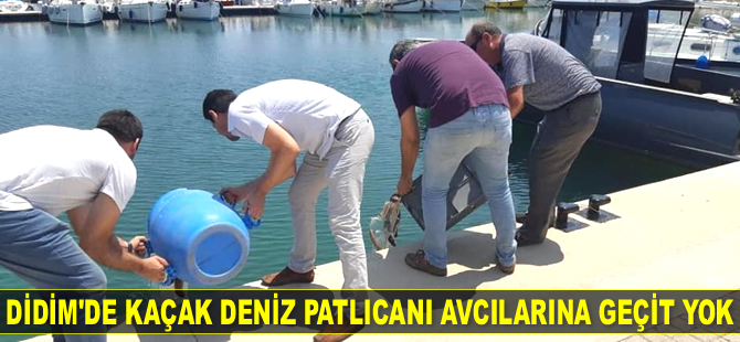Didim’de deniz patlıcanı avcılarına ceza yağdı