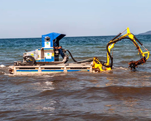 Ocaklar sahili yosunlardan temizleniyor