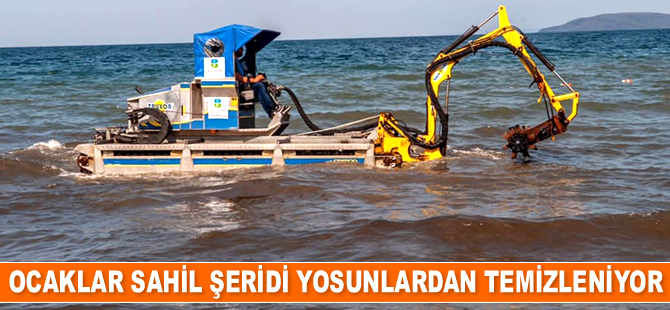 Ocaklar sahili yosunlardan temizleniyor