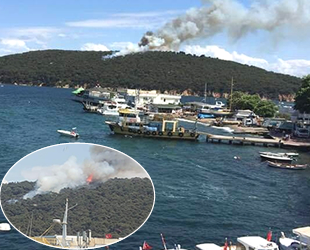 Heybeliada'da çıkan orman yangını kontrol altına alındı