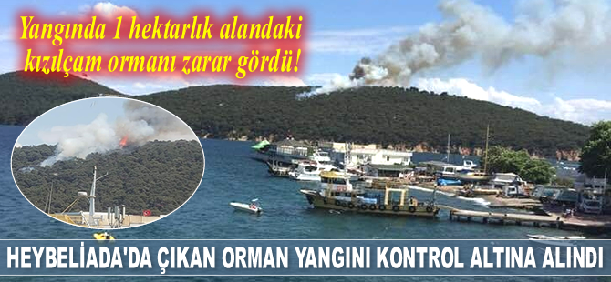 Heybeliada'da çıkan orman yangını kontrol altına alındı