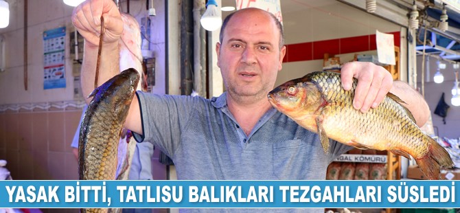 Yasak bitti, tatlısu balıkları tezgahları süsledi