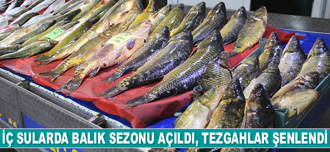 İç sularda balık sezon açıldı, tezgahlar şenlendi